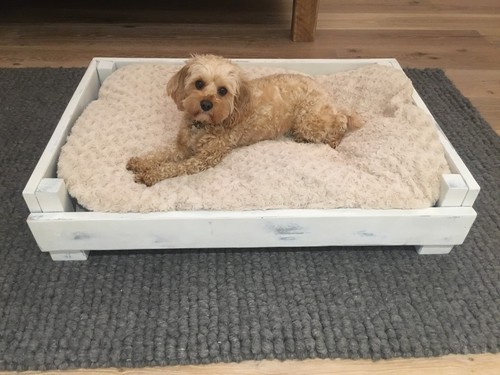 Dog bed feet - on,